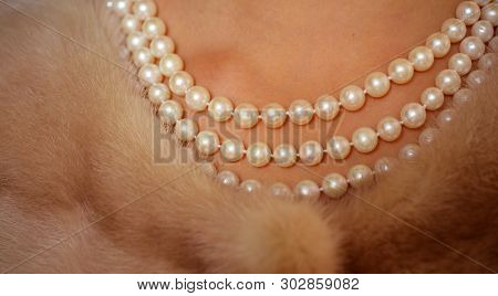 Posh Posh. Classic Retro Style Design. Pearl Necklace And Mink Fur. Natural Pearl Beads And Fur. Fas