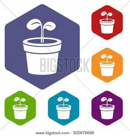 Plant Icons Vector Colorful Hexahedron Set Collection Isolated On White