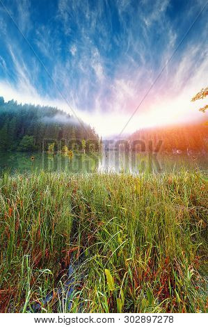 Majestic Summer View Of Mountain Lake Lacul Rosu Or Red Lake Or Killer Lake. Rotten Tree Trunks. Log
