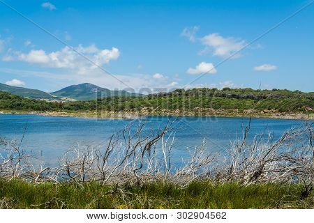 Landscape Of Lake Baratz