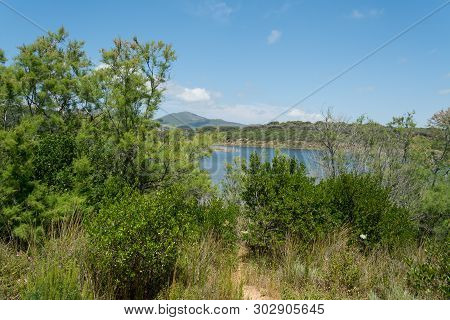 Landscape Of Lake Baratz
