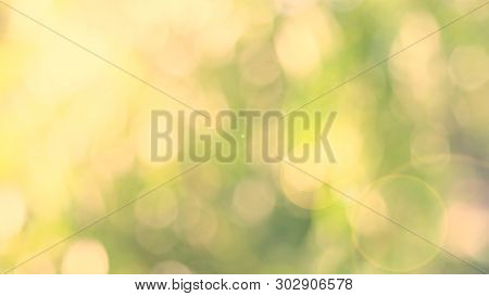Nature Yellow Bokeh Sun Light Flare And Blur Leaf Abstract Texture Background, Blurred Natural Green