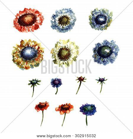 Watercolor Set Of Autumnal Flowers. Hand Painted Isolated Elements.
