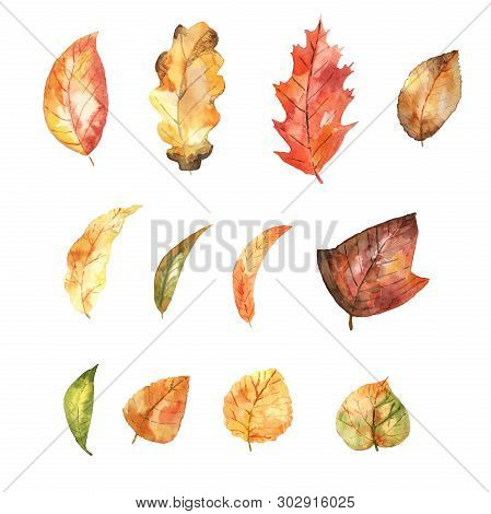 Watercolor Set Of Autumnal Leaves. Bright Colors. Hand Painted Isolated Elements.