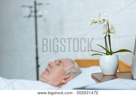 Selective Focus Of Senior Man In Coma On Bed In Hospital