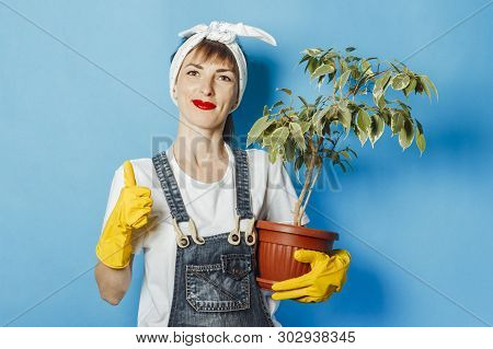 Young Woman In Rubber Gloves Holds A Flower Against A Blue Background. Cleaning Concept, Cleaning Se