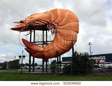 Ballina, Australia - Apr 20, 2019. The Big Prawn. The Big Things Of Australia Are A Loosely Related 