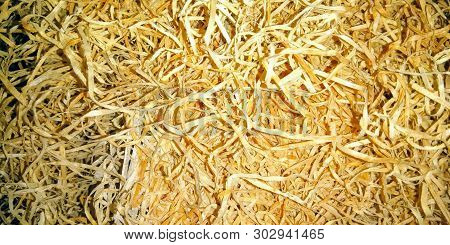 A Picture Of Dry Grass With Blur Background