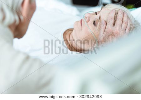 Cropped View Of Senior Man Stroking Wife In Coma In Clinic