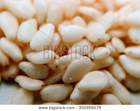 A Picture Of Seed With Blur Background