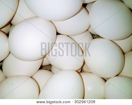 A Picture Of Eggs With Dark Background