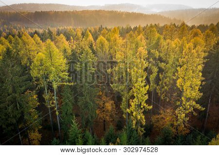 Voderady Beechwood Is A National Nature Reserve. There Are Natural Beech Forests On Relatively Acidi