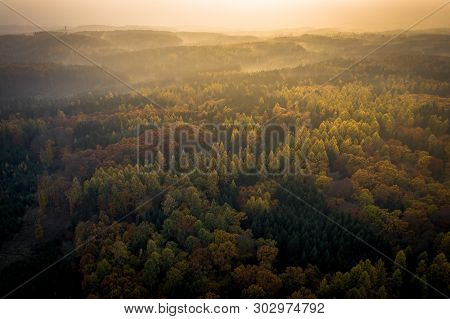 Voderady Beechwood Is A National Nature Reserve. There Are Natural Beech Forests On Relatively Acidi