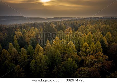 Voderady Beechwood Is A National Nature Reserve. There Are Natural Beech Forests On Relatively Acidi