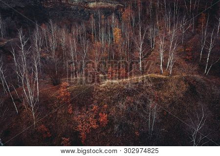 Voderady Beechwood Is A National Nature Reserve. There Are Natural Beech Forests On Relatively Acidi