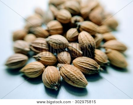 A Picture Of Coriander Seeds On White Background