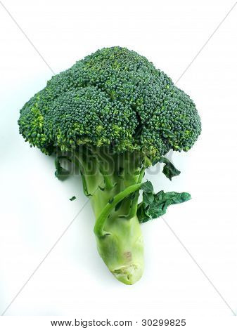 Broccoli