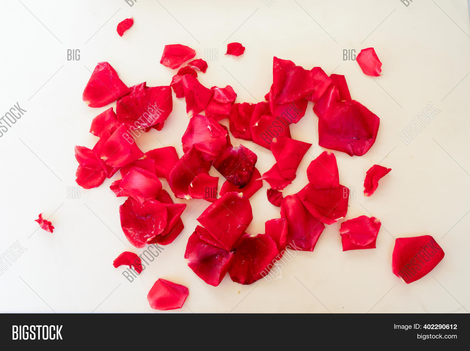 Dark Red Rose Petals Image & Photo (Free Trial) Bigstock