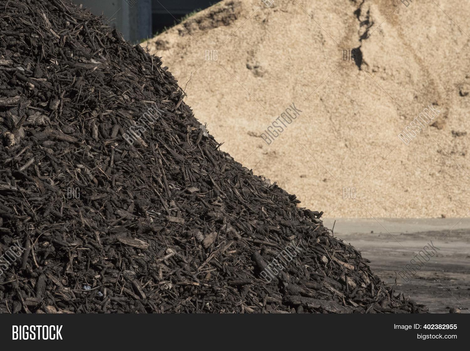 Humus Production Image & Photo (Free Trial) Bigstock