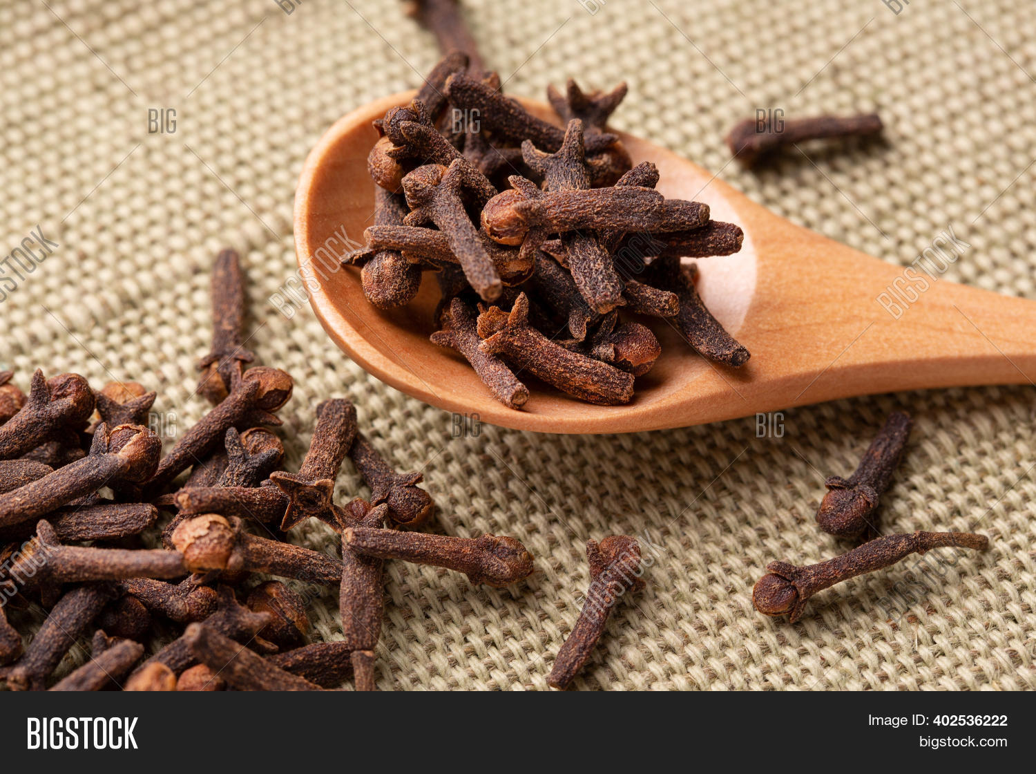 Close Carnation Seeds Image & Photo (Free Trial) Bigstock