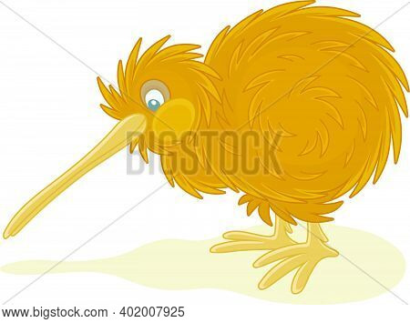Amusing Flightless New Zealand Kiwi Bird With Shaggy Feathers And A Long Bill, Vector Cartoon Illust