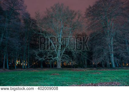 911 / 5000\nwyniki Tłumaczenia\nmanor Park In Iłowa.\niłowa, A Small Town In Western Poland. There I