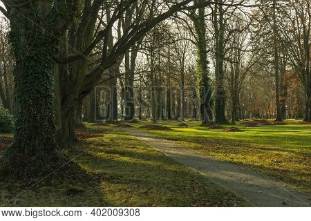 Iłowa, A Small Town In Western Poland. There Is A Historic Manor Park In The City. The Czerna Mała R