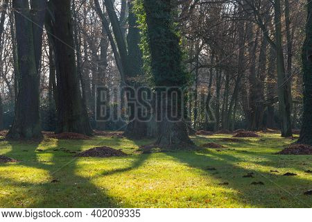 Iłowa, A Small Town In Western Poland. There Is A Historic Manor Park In The City. The Czerna Mała R