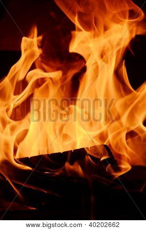 leña y fuego