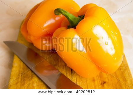 Paprika