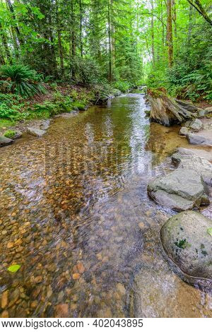 Majestic mountain river in Canada. Traboulay Port Coquitlam Park. Vancouver.