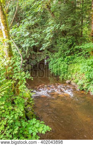 Majestic mountain river in Canada. Traboulay Port Coquitlam Park. Vancouver.