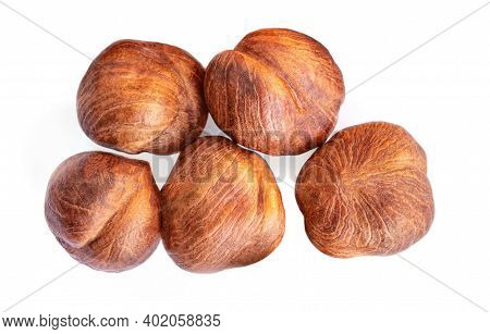 Hazelnuts Isolated On White Background.  Hazel Nut Macro. Top View. Flat Lay