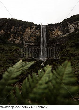 Panoramic View Of Fern Plant At Catarata Del Gocta Waterfall Cataract In Bongara Amazonas Near Chach