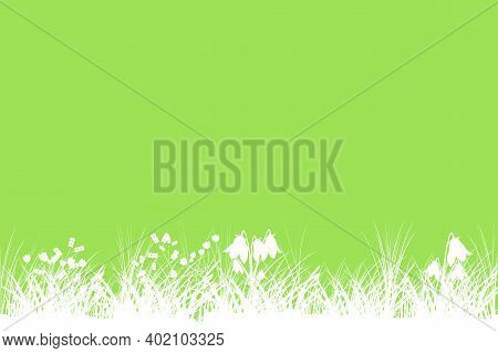 Green Spring Background With Copy Space. Summer Grass Banner With Flowers. Template Backdrop Frame F