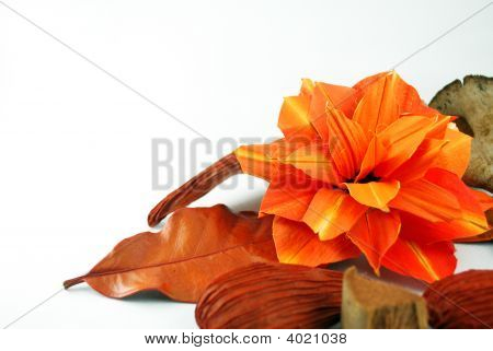 Flor de naranja