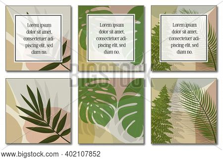 Multi-page Botanical Layout Template With Copy Space For Text Vector Illustration.