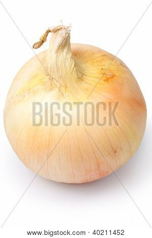 Onion