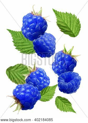 Falling Fresh Tasty Blue Raspberries On White Background