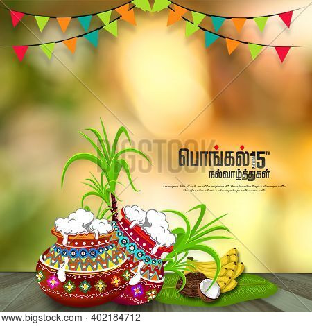 Happy Pongal Background Template Design - Pongal Festival Background Template And Happy Pongal Trans