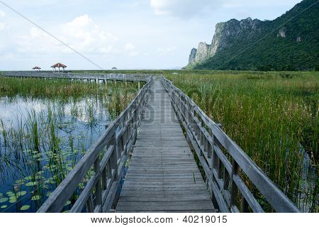 Træ bro i lotus lake i khao sam roi yod national park, thailand