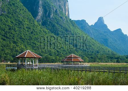Træ bro i lotus lake i khao sam roi yod national park, thailand