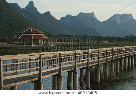 Træ bro i lotus lake i khao sam roi yod national park, thailand