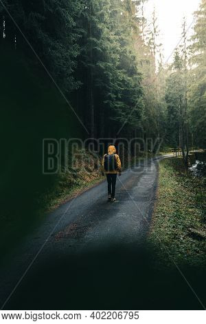 A Young Guy Wandering Into The Woods. Young Roamer. Lifestyle Photography In The Deep Green Forest W