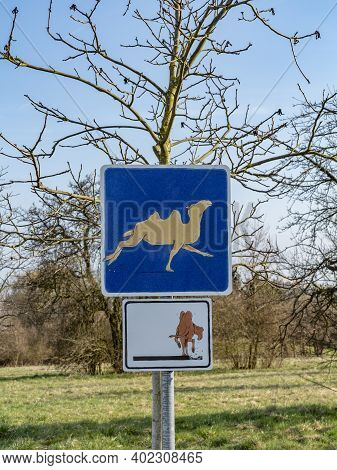 Schwalbach, Germany - March 22, 2015: Camel Crossing Sign With Funny Camel At The Pedestrian Walking