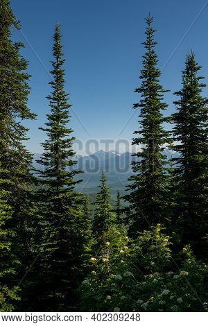 Peeking Through Line Trees Near The Huckleberry Lookout Tower In Glaier National Park