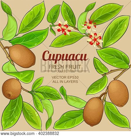 Cupuacu Branches Vector Frame On Color Background