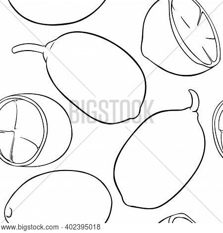 Cupuacu Fruit Vector Pattern On White Background