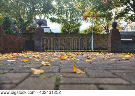 Beautiful Low Ground View Of Typical Irish Yard With Fallen Autumn Orange Leaves On The Pavement, Ba