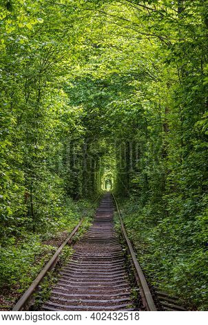 Love Tunnel (railway Section Located In Forest Near Klevan, Ukraine. So Named Because Before By This